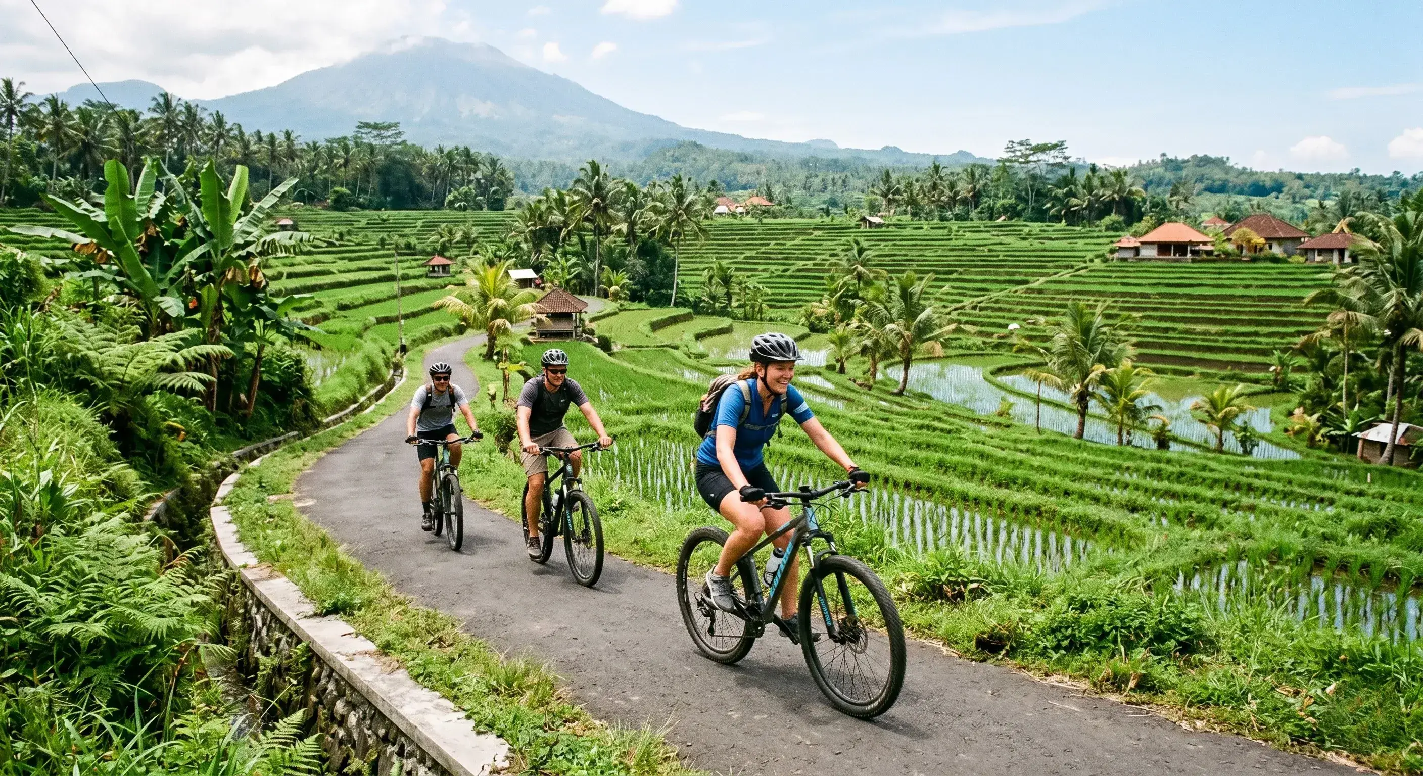 Baik Bike